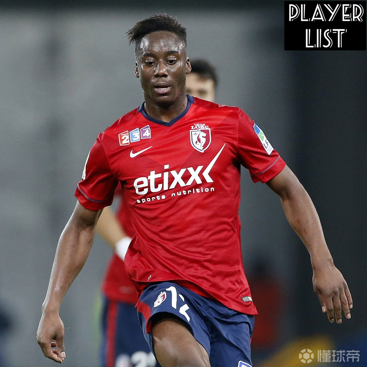 关于丹麦横扫塞内加尔，布鲁诺状态火热的信息