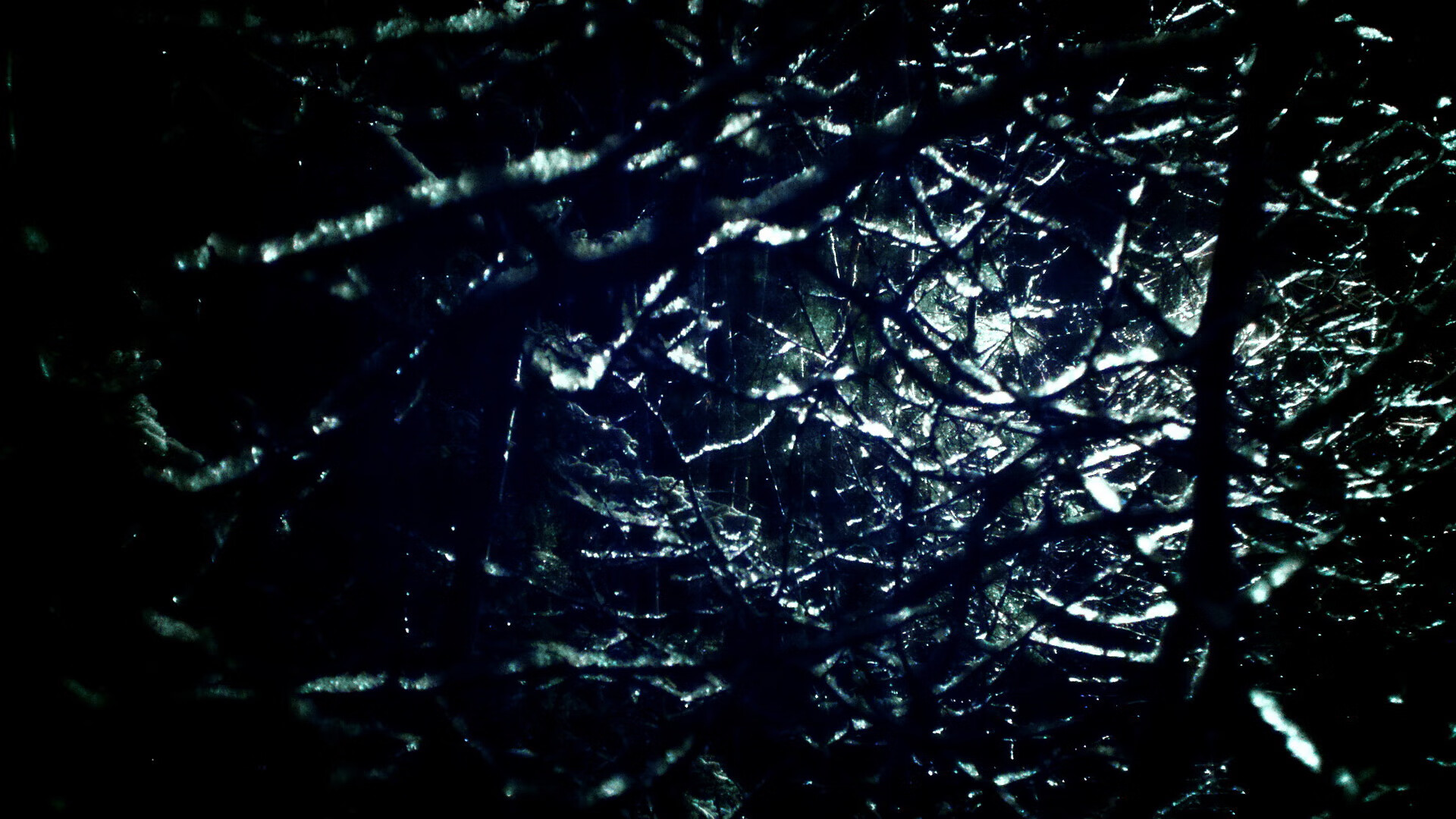 跨越太平洋的弧线，当鹈鹕轻取江苏，库里在另一端重塑历史