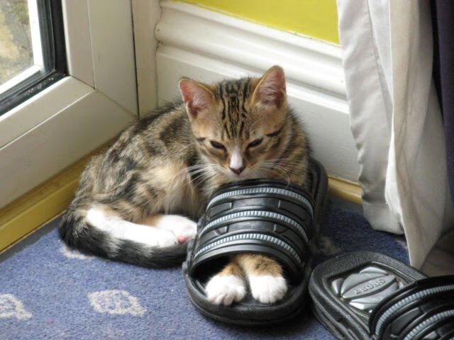 德国战车与龙的逆袭，一场改写历史的跨界对决