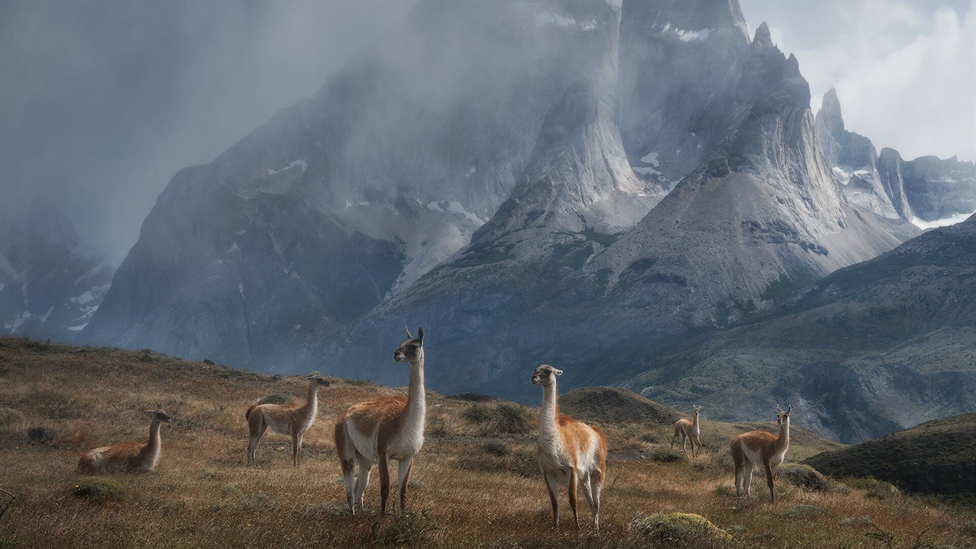 铁幕崩塌之夜，王皓化身为韩国队最锋利的长矛