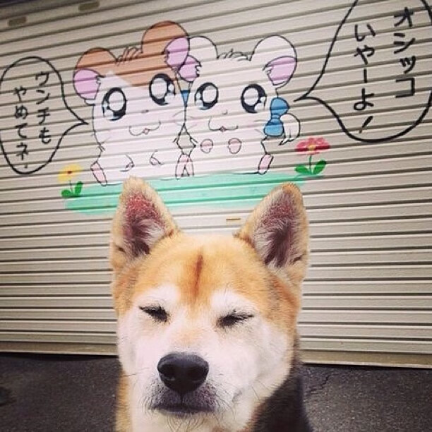 钢铁之壁与美学秩序,德里赫特如何用存在感定义现代中卫