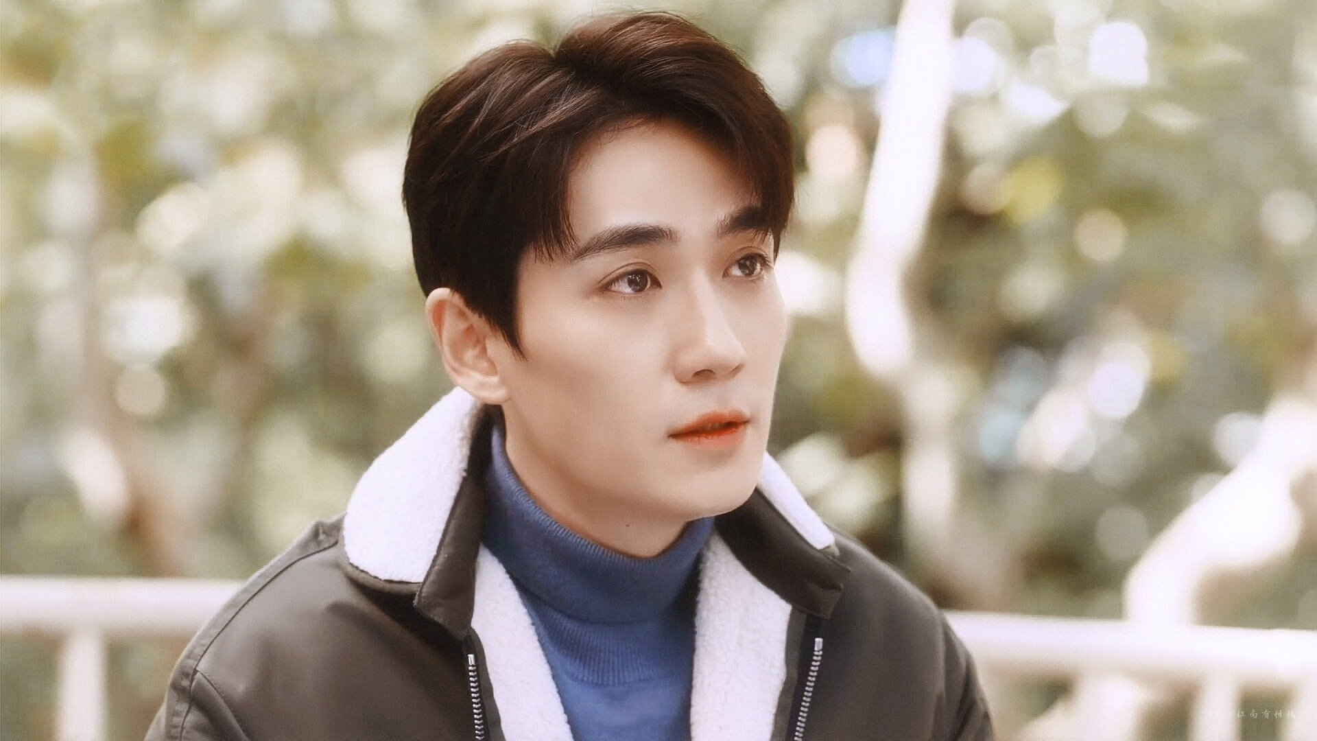 阿尔及利亚的锁链，1982年世界杯上那场震足坛的封锁，与真正的关键先生安德烈亚斯·布雷默