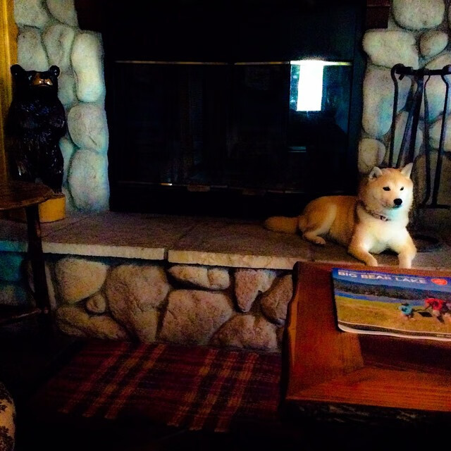 马丁内利独闯龙潭,美国加时险胜佛罗伦萨—新一代进攻利刃的锋芒之战