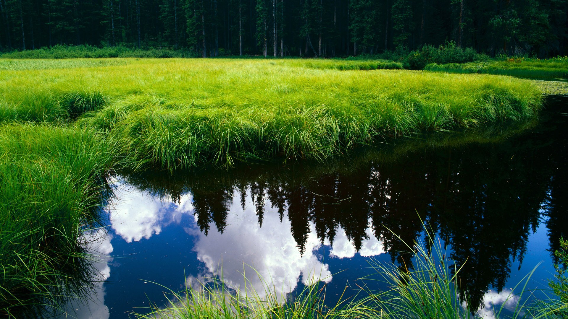 欧冠淘汰赛之夜，乔治的生死交响曲