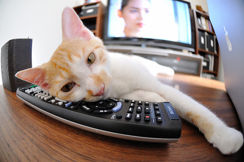 三剑封喉！爱德华兹连续斩杀定乾坤，浙江队夺下冠军点