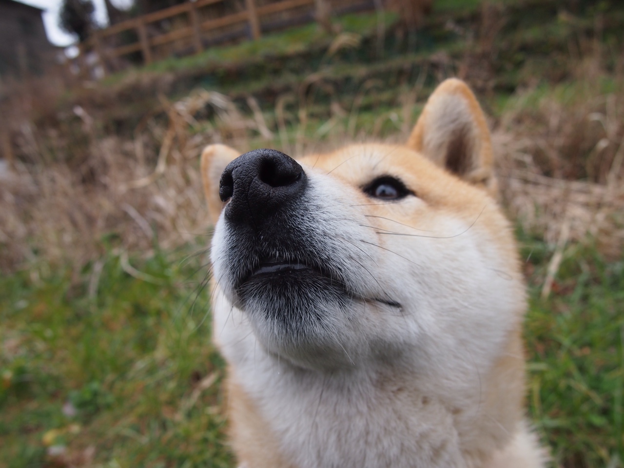 南美风暴席卷法兰西！罗德里戈终场绝响，巴拉圭上演客场夺魂记