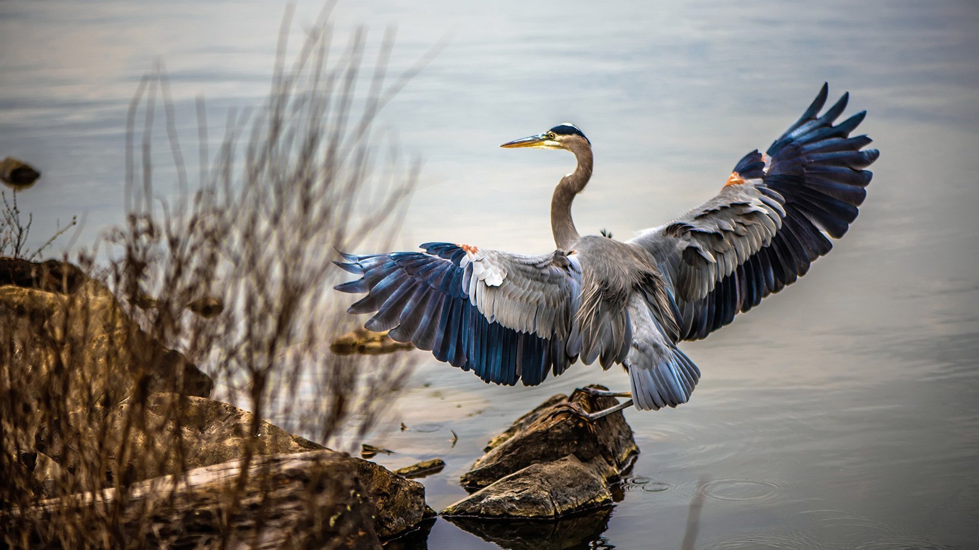 数据屠夫!广东队奇兵狂砍非人类三双,山西队禁区沦为背景板