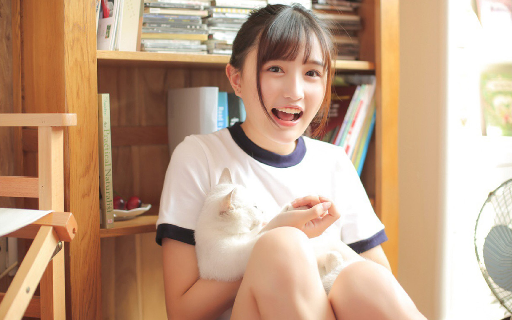 球场上的绝对压制,从团队战略到个人超越