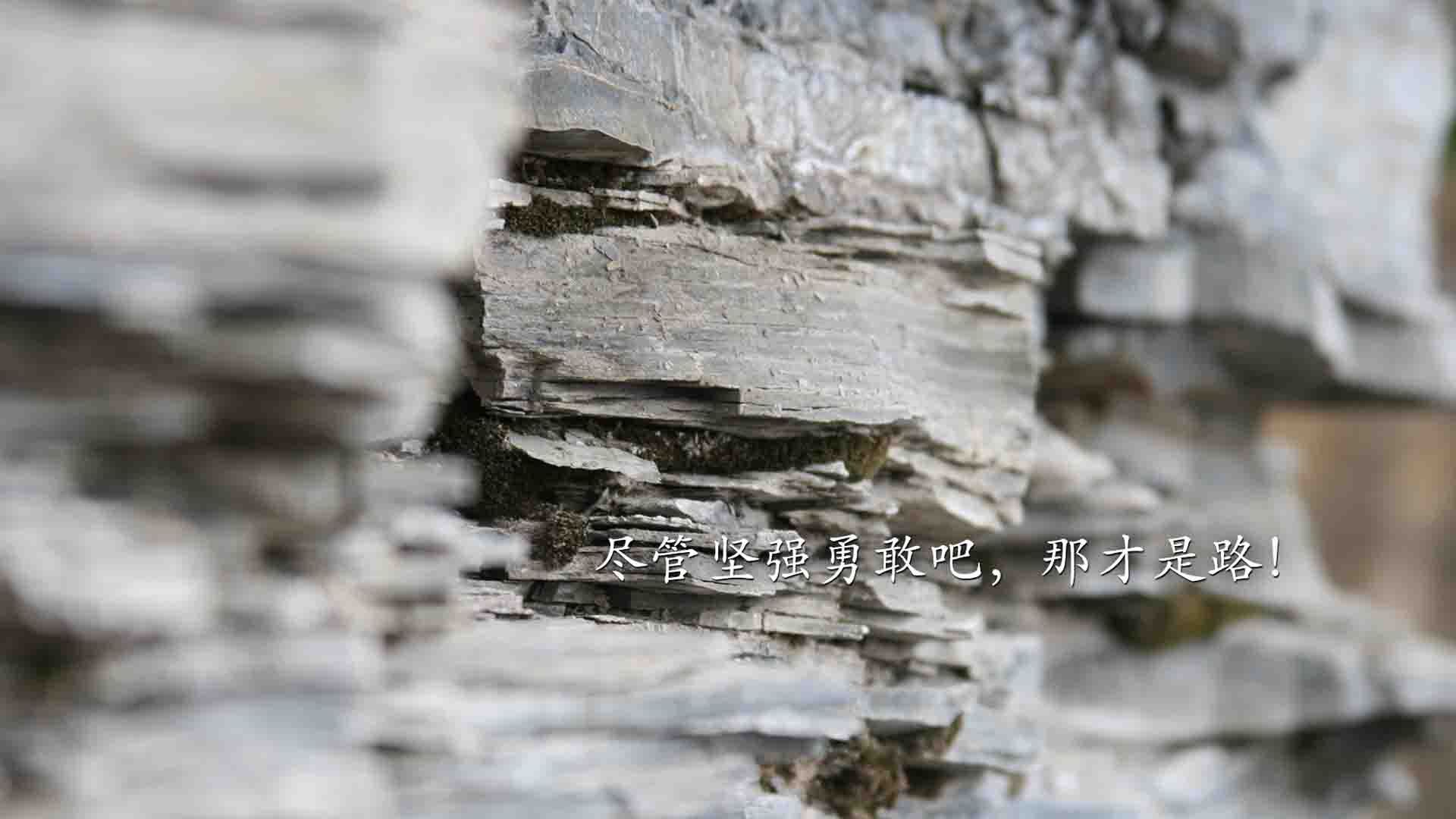 鹰击长空,英格拉姆精准狙击,老鹰横扫魔术展翅高飞